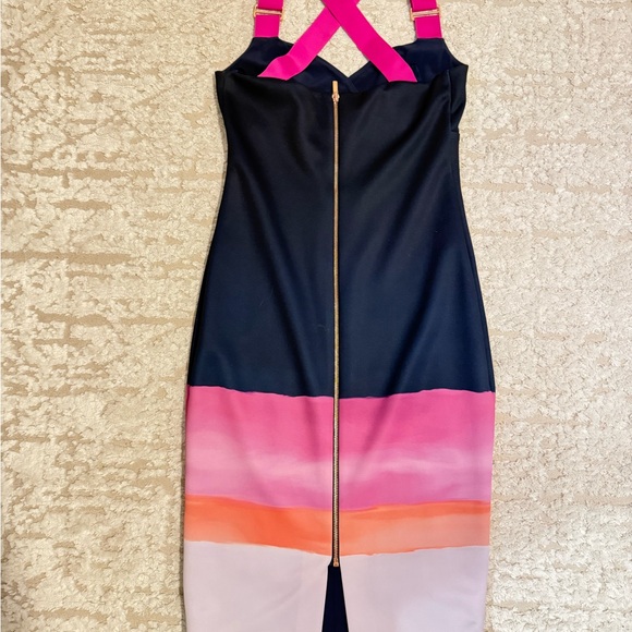 Ted Baker Dark Blue and Bright Pink Dress - Picture 2 of 3
